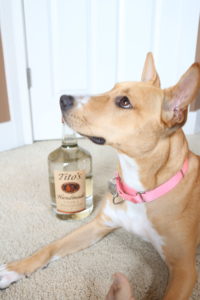 Tito's Vodka & Our Dog Bella