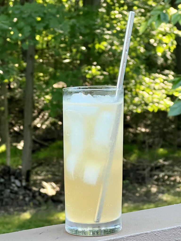 Sloe Gin Fizz Cocktail